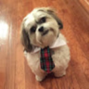 Meet your Posher, Stacy